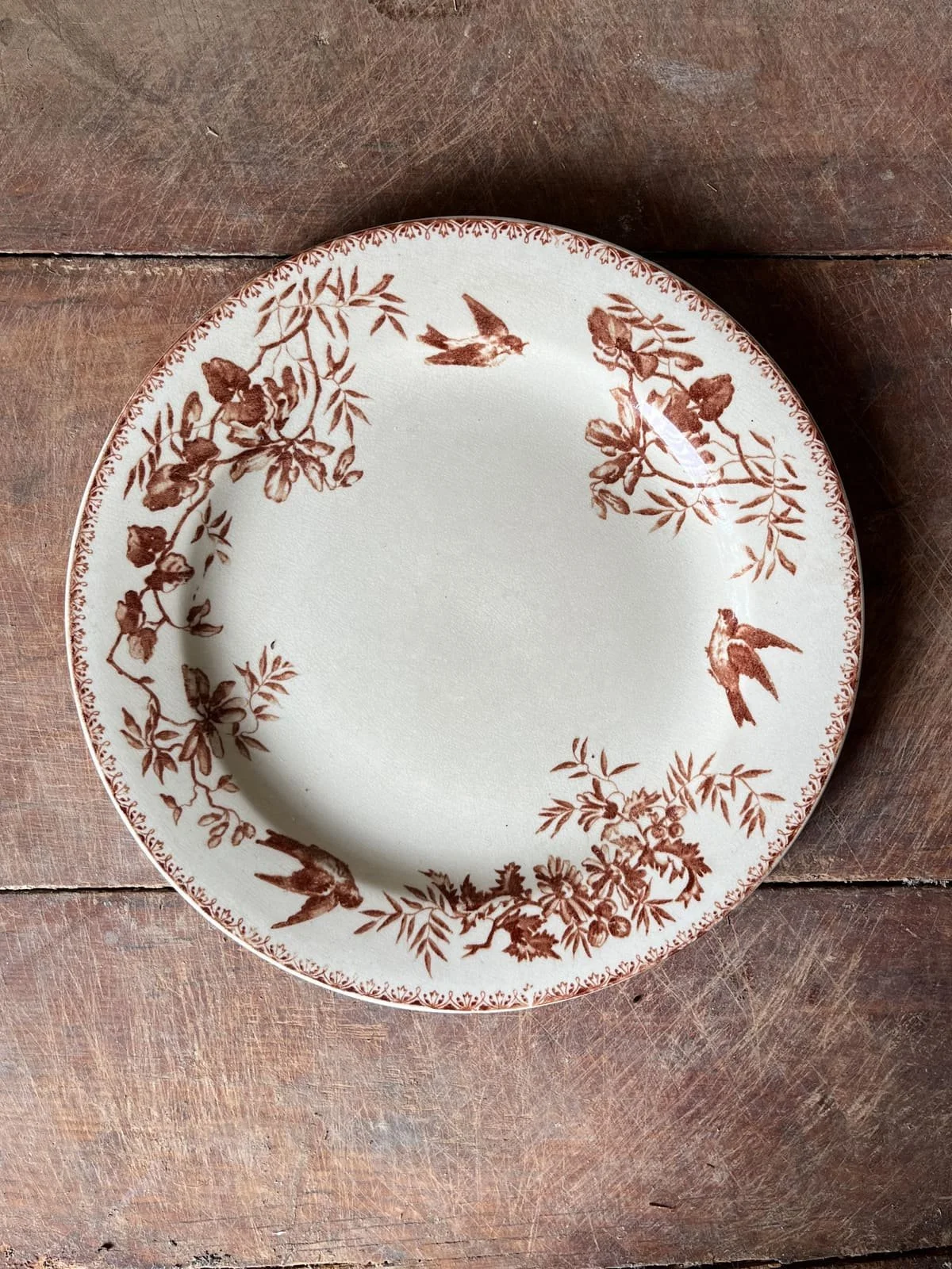 Antique Terre de Fer French Ironstone Plate | Sepia Florals